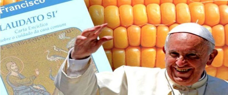Monsanto no sólo contamina sino también censura en universidades 9 Monsanto no sólo contamina sino también censura en universidades