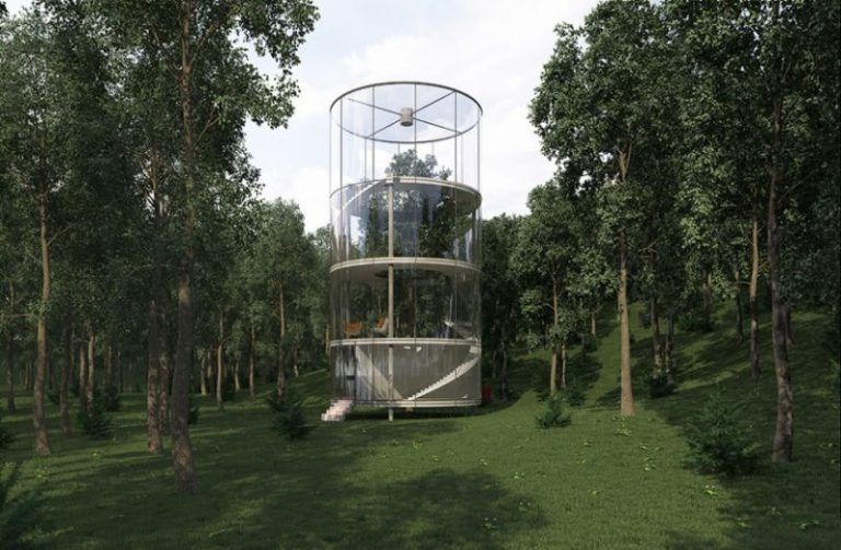¿Quieres ver algo realmente hermoso? El sueño de la casa en el árbol 5 ¿Quieres ver algo realmente hermoso? El sueño de la casa en el árbol