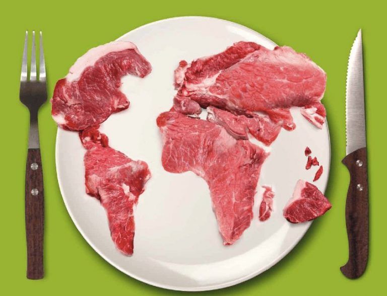 El costo ambiental de comer carne 1 El costo ambiental de comer carne