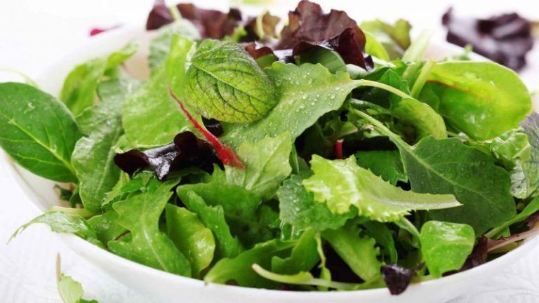 Nuestras ensaladas, podrán ser lavadas y mejoradas con el polémico MMS (Dióxido de Cloro)