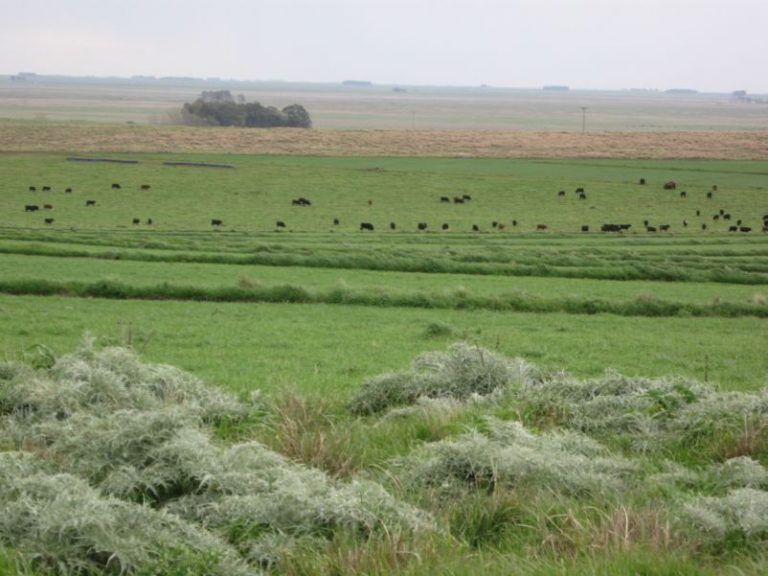 La Agroecología tiene un gran futuro 10 La Agroecología tiene un gran futuro