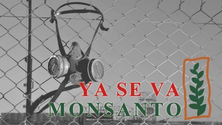 Monsanto en retirada: El abajo que se mueve 2 Monsanto en retirada: El abajo que se mueve