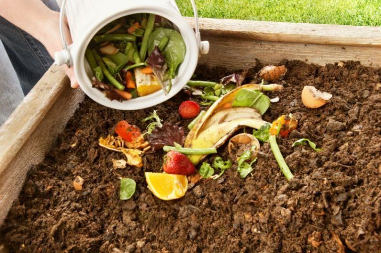 Para qué sirve el ¨compost¨, cómo se hace 8 Para qué sirve el ¨compost¨, cómo se hace