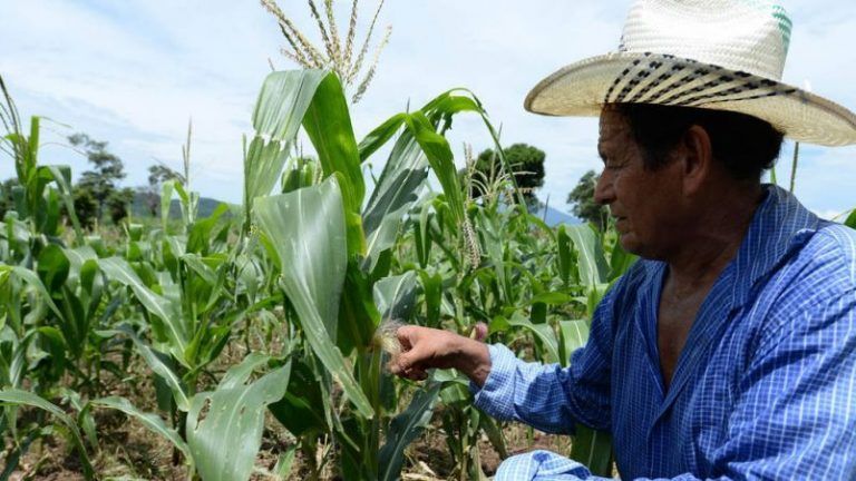 Juntos es mejor. Agricultores centroamericanos ahorran juntos para enfrentar desastres 9 Juntos es mejor. Agricultores centroamericanos ahorran juntos para enfrentar desastres