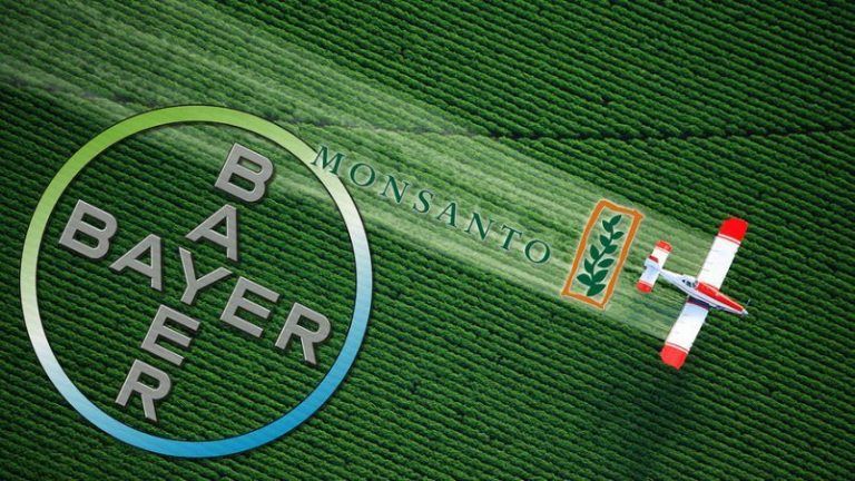 No a la Ley Bayer-Monsanto de Semillas 7 No a la Ley Bayer-Monsanto de Semillas