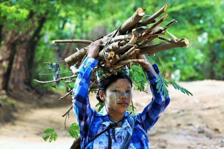 Valorar la sabiduría comunitaria para fortalecer la lucha por la tierra y el bosque 6 Valorar la sabiduría comunitaria para fortalecer la lucha por la tierra y el bosque
