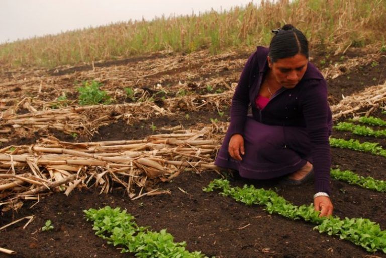 A contrapelo. La tierra para las que la trabajan