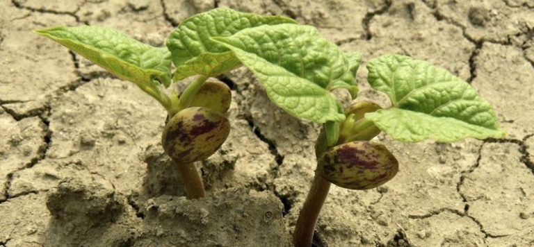 El cambio climático viene quedando fuera del debate 4 El cambio climático viene quedando fuera del debate