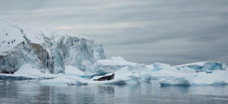 El hielo de la Antártida se hunde en agua caliente
