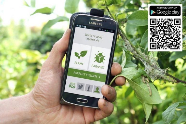 Aplicaciones móviles que te dicen todo sobre una planta con sólo una foto 9 Aplicaciones móviles que te dicen todo sobre una planta con sólo una foto