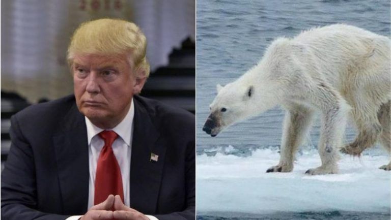 Cómo puede afectar al medio ambiente una victoria de Trump 6 Cómo puede afectar al medio ambiente una victoria de Trump