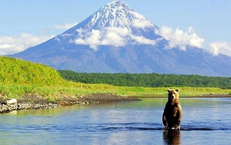 Putin le regala a cada ruso una héctarea de tierra para que la trabaje de forma productiva 4 Putin le regala a cada ruso una héctarea de tierra para que la trabaje de forma productiva