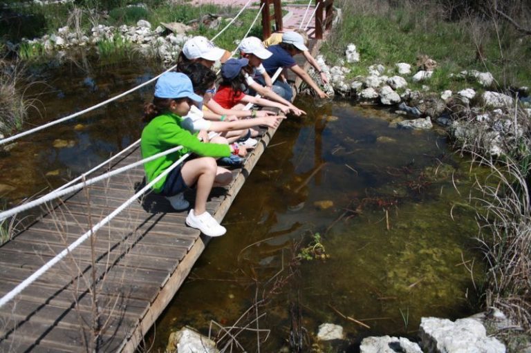 Cómo educar a los niños en valores ecológicos: pequeña guía para padres 8 Cómo educar a los niños en valores ecológicos: pequeña guía para padres