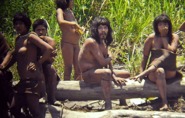 La 'carretera de la muerte' que dividirá a pueblos indígenas aislados 6 La ‘carretera de la muerte’ que dividirá a pueblos indígenas aislados
