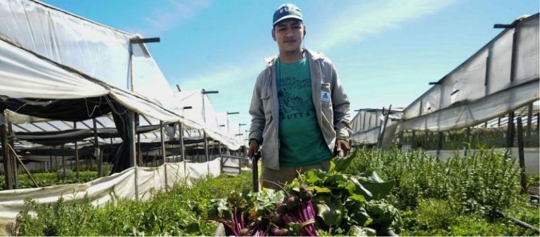 La familia que produce sus propios vegetales y frutas orgánicos