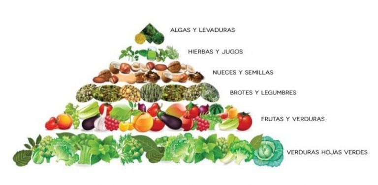 Que pueden comer los veganos 9 Que pueden comer los veganos
