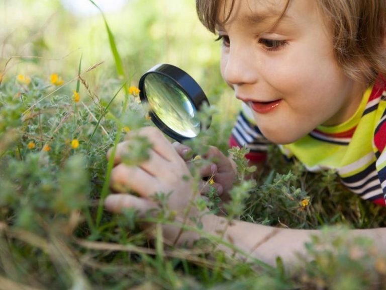 5 beneficios de pasar más tiempo al aire libre