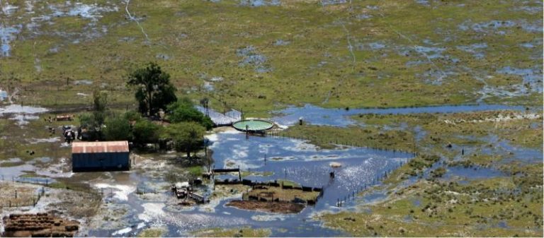 Científico del INTA halla un vínculo entre la soja y las inundaciones 9 Científico del INTA halla un vínculo entre la soja y las inundaciones
