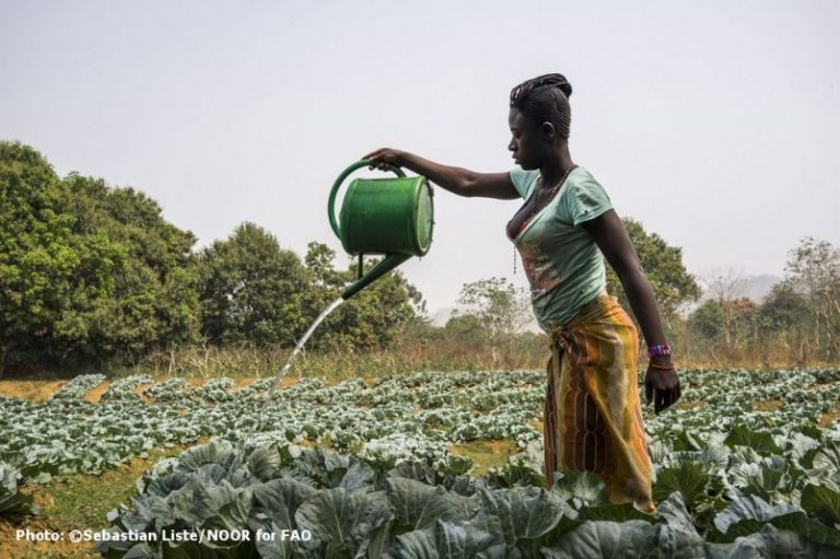 Las mujeres son la clave para lograr un mundo sin hambre ni pobreza 2 Las mujeres son la clave para lograr un mundo sin hambre ni pobreza