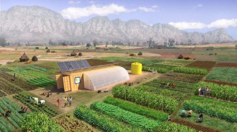 Un contenedor de carga con lo necesario para montar una granja solar para alimentar a 150 personas