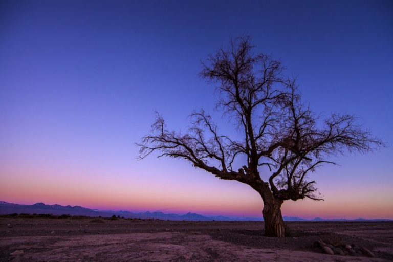 10 fenómenos naturales extraños