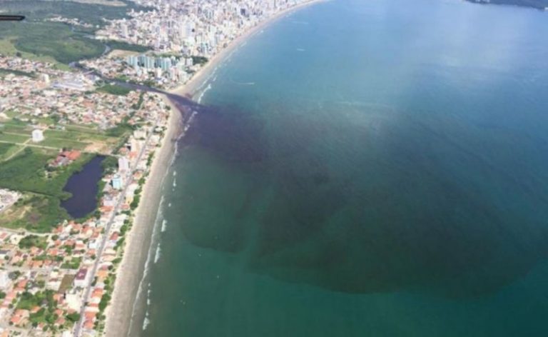 Fuerte contaminación en las playas brasileñas 8 Fuerte contaminación en las playas brasileñas