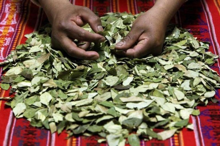 La OMS urge a los gobiernos del mundo incluir todas las terapias tradicionales y complementarias en los servicios públicos de salud. 7 La OMS urge a los gobiernos del mundo incluir todas las terapias tradicionales y complementarias en los servicios públicos de salud.