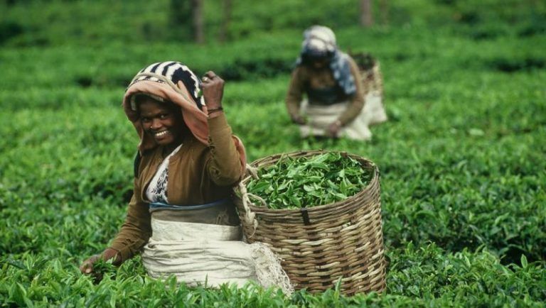 La importancia de conocer el origen de los productos