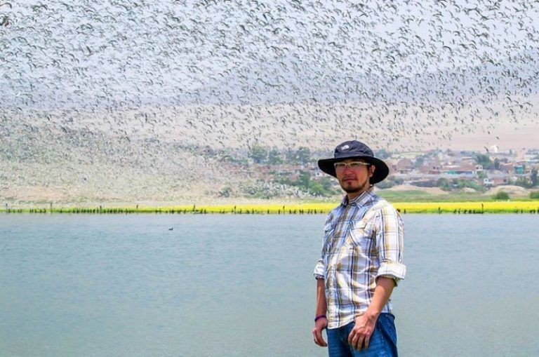 Marino Morikawa, el peruano que descontaminó una laguna en 15 días, ahora va por el Titicaca 10 Marino Morikawa, el peruano que descontaminó una laguna en 15 días, ahora va por el Titicaca
