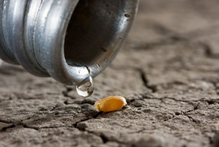 3 innovaciones para conservar y recuperar el agua 15 3 innovaciones para conservar y recuperar el agua