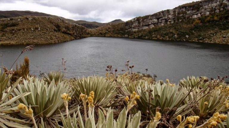 El páramo más grande del mundo está amenzado por el fracking 8 El páramo más grande del mundo está amenzado por el fracking