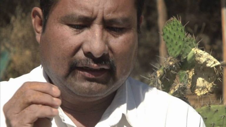 Este hombre plantó 4.000 árboles y salvó a su pueblo 2 Este hombre plantó 4.000 árboles y salvó a su pueblo