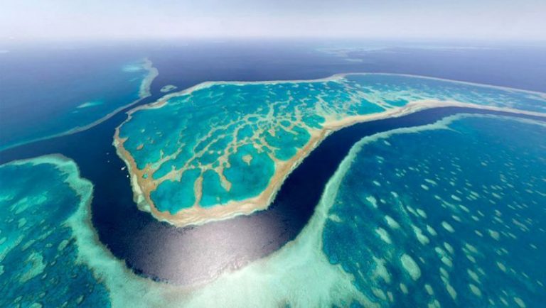 La Gran Barrera de Coral de Australia agoniza mientras los mares se calientan 5 La Gran Barrera de Coral de Australia agoniza mientras los mares se calientan