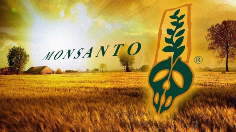 Monsanto, hallado culpable por daños a la salud y el ambiente, crímenes de guerra y ecocidio 6 Monsanto, hallado culpable por daños a la salud y el ambiente, crímenes de guerra y ecocidio