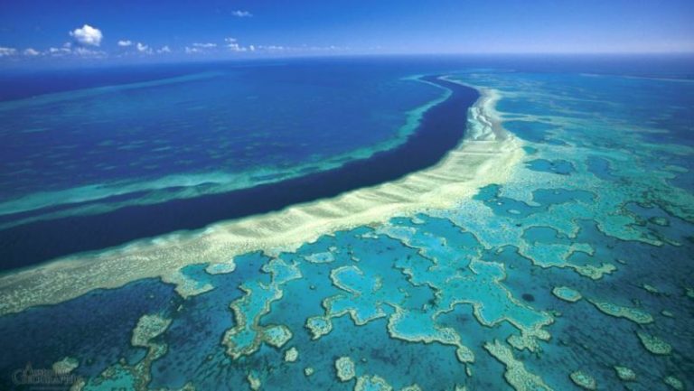 Nubes más brillantes podrían salvar a la Gran Barrera de Coral 8 Nubes más brillantes podrían salvar a la Gran Barrera de Coral