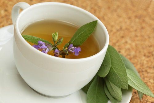 7 Remedios Naturales para acabar con el dolor de Espalda 2 te de salvia