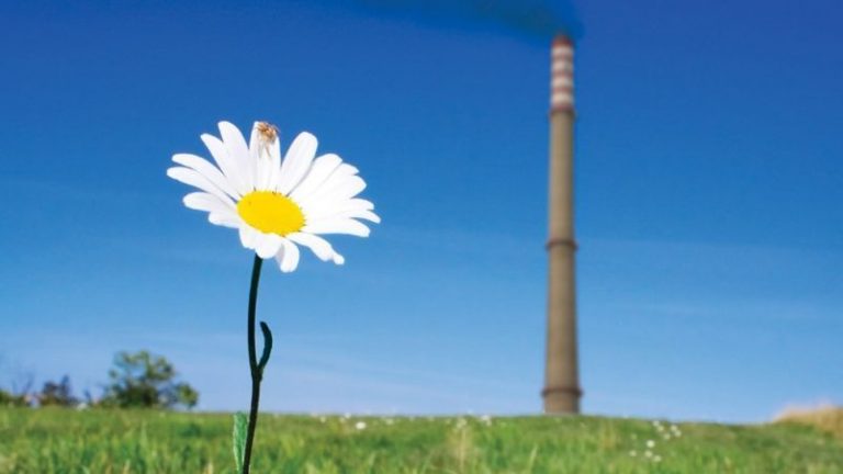 Aumento en casos de cáncer en EE.UU. está relacionado con la contaminación, según estudio 11 Aumento en casos de cáncer en EE.UU. está relacionado con la contaminación, según estudio