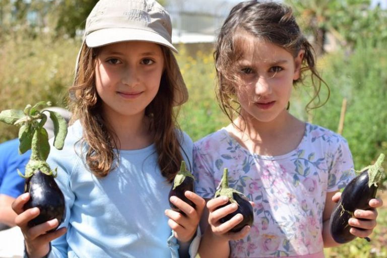 Bosques de comida, la solución para la crisis ambiental y la hambruna 9 Bosques de comida, la solución para la crisis ambiental y la hambruna