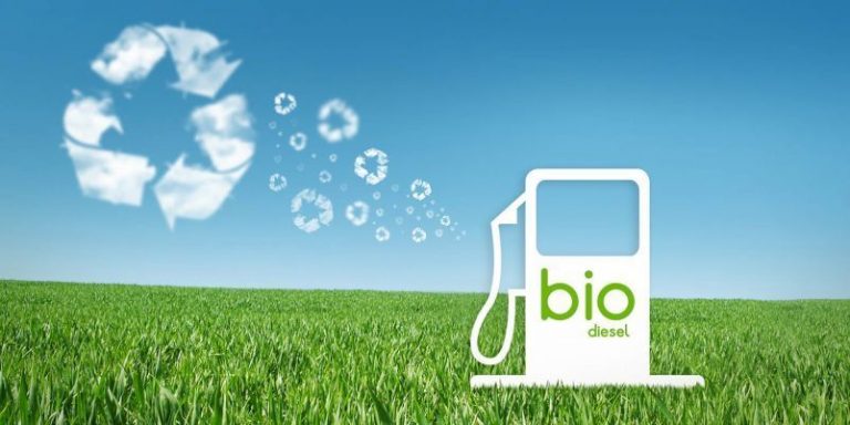 Científicos mexicanos crean el primer biodiésel más barato y ecológico del mundo
