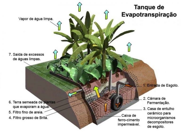 Construye tu pozo negro ecológico en solo siete pasos 8 Construye tu pozo negro ecológico en solo siete pasos
