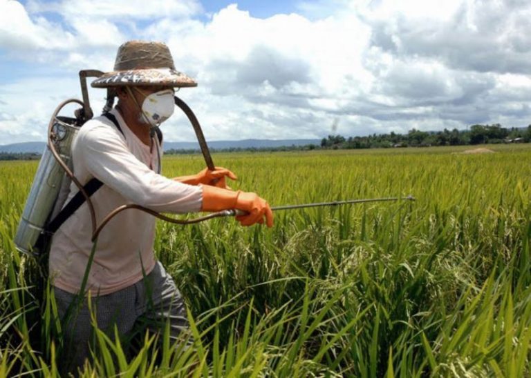 Denuncian en la ONU violación a los derechos humanos por el uso de agrotóxicos en la Argentina