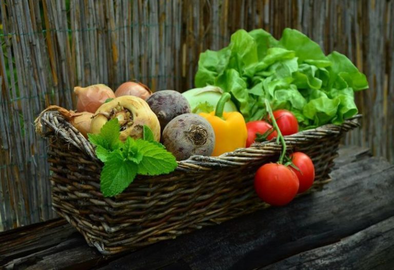 El consumo de alimentos ecológicos, en aumento 10 El consumo de alimentos ecológicos, en aumento