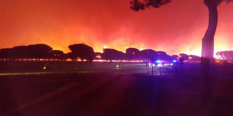 El incendio cerca de la reserva de Doñana sigue activo 12 El incendio cerca de la reserva de Doñana sigue activo