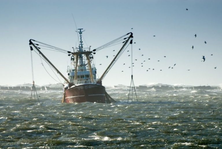 Los subsidios a la sobrepesca y la destrucción de los océanos 10 Los subsidios a la sobrepesca y la destrucción de los océanos