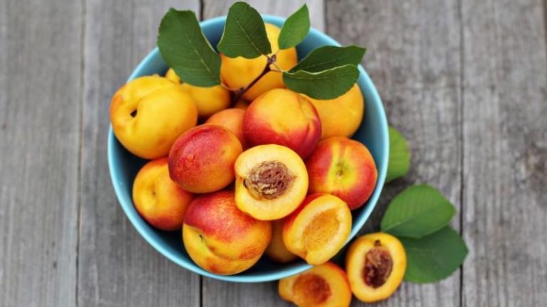 Conoce los antioxidantes y digestivos beneficios de la nectarina 6 Conoce los antioxidantes y digestivos beneficios de la nectarina
