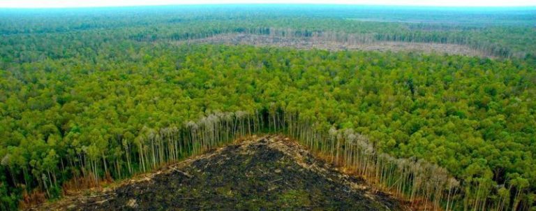 El mundo agotará su «presupuesto ecológico» el 2 de agosto