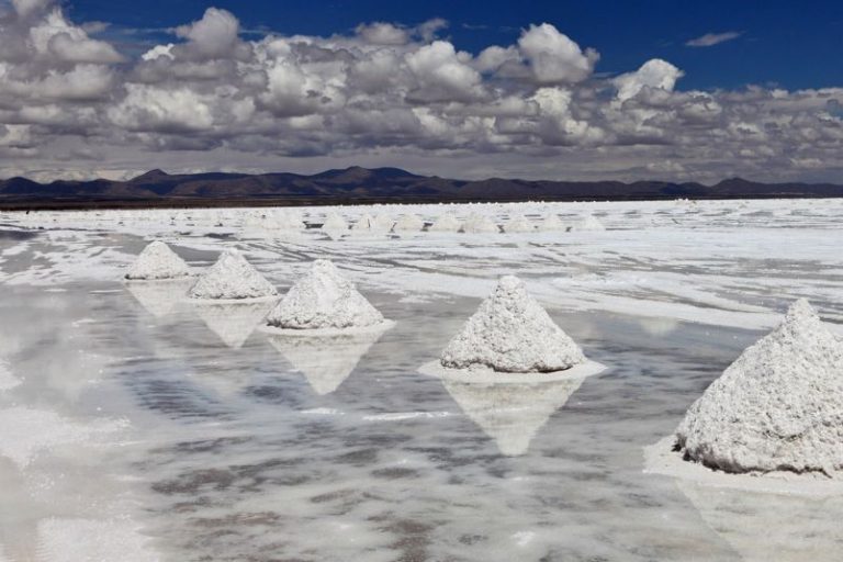 El ‘petróleo blanco’ se dispara gracias al ‘boom’ de los vehículos eléctricos 9 El ‘petróleo blanco’ se dispara gracias al ‘boom’ de los vehículos eléctricos