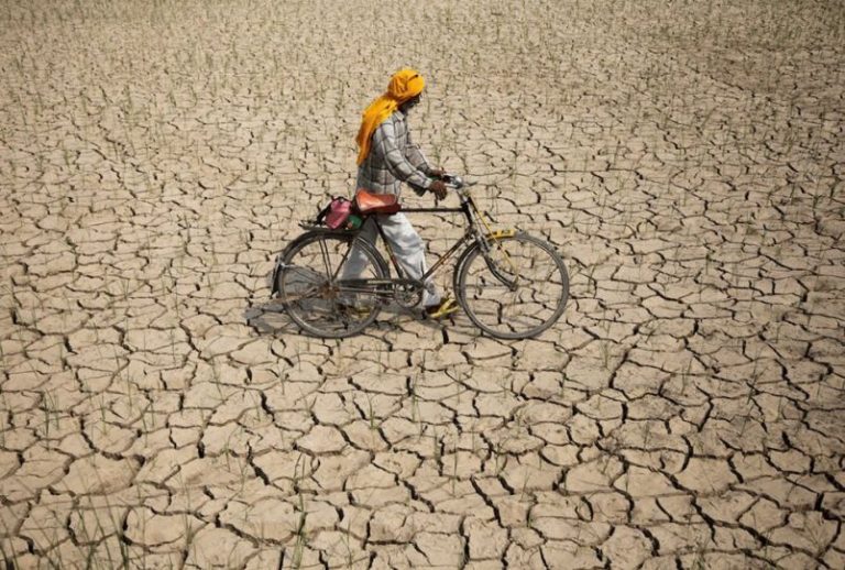 India construye viviendas ecológicas para frenar el cambio climático 11 India construye viviendas ecológicas para frenar el cambio climático