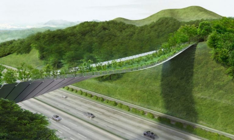 Un puente verde para que los animales puedan cruzar la carretera a salvo