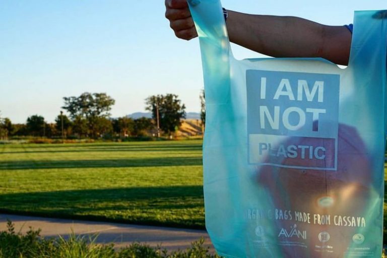 Bolsas de yuca verdaderamente biodegradables: al llegar al mar se disuelven en el agua 6 Bolsas de yuca verdaderamente biodegradables: al llegar al mar se disuelven en el agua